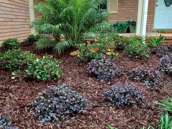Pensacola, FL Landscape Installation Company