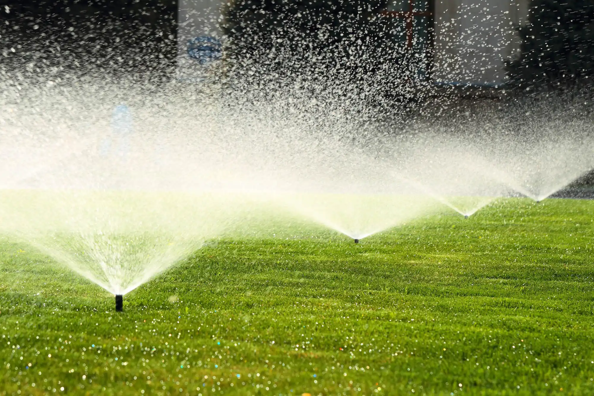 Sprinklers